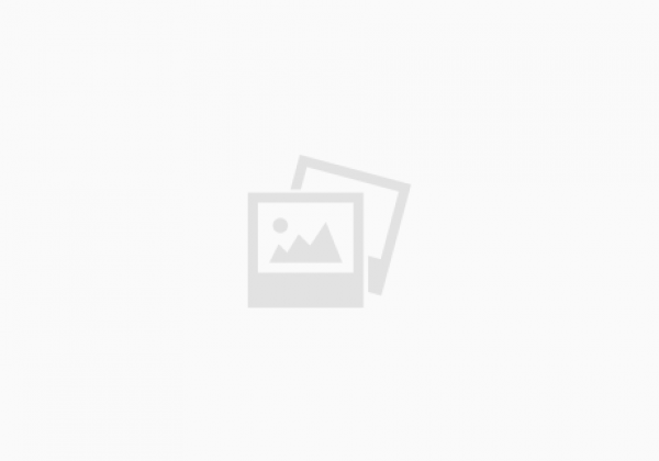 Welfare | Training Coordinator